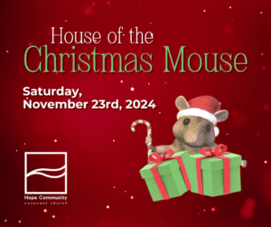 House of the Christmas Mouse